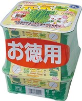  ネコの元気草 3コパック