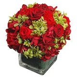  プリザーブドフラワー ギフト ラウンド S レッド