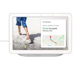  Google Nest-Chalk 