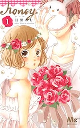  ハニー1