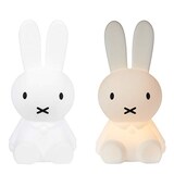 FIRST LIGHT　Miffy and friends