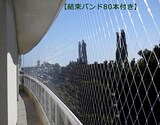  防鳥ネット（透明）