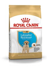  BHN ラブラドールレトリバー 子犬用