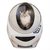 キャットロボット オープンエアー