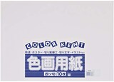 再生色画用紙ゆき（雪）