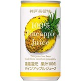  パインアップル　100%