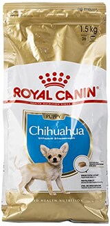  BHN チワワ 子犬用
