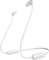  WI-C310