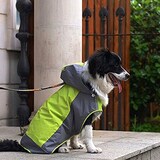  犬用レインコート