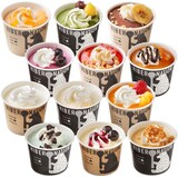  北海道 デコレーション アイスクリーム.12個セット