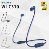  ワイヤレスイヤホンブルーWI-C310