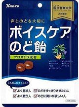  ボイスケアのど飴 70g×4個
