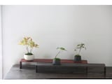 小さな盆栽の作り方【植込みから完成までを解説】