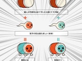 「こんな深い設定があったとは」「知らなかった…」大人気ゲーム「太鼓の達人」の意外な事実に驚きの声