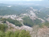 【吉野さくら散歩】奈良屈指の桜名所を訪ね歩く！ 世界遺産・吉野山を彩る3万本の春絶景めぐり