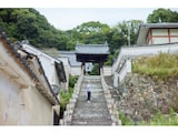 毎年1つ、思い出を積み重ねよう！シニアのための旅費の備え方