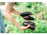 お金に愛される人の“趣味”とは？