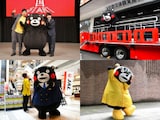 防災リュックを披露するも出てきたものは……からし蓮根さんとトリオ結成？【5月のくまモン】