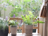 「貧乏体質な人」の部屋の特徴とは？脱・貧乏体質のヒント