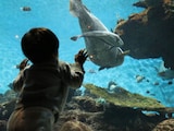 「子どもたちとの時間はかけがえのないもの」34歳男性が家族旅行のために見直した"お金の優先順位"