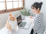 【2026年8月10日~】ゆうちょ銀行が金利引き上げ!定期貯金に20万円、50万円、100万円預けると利息は?