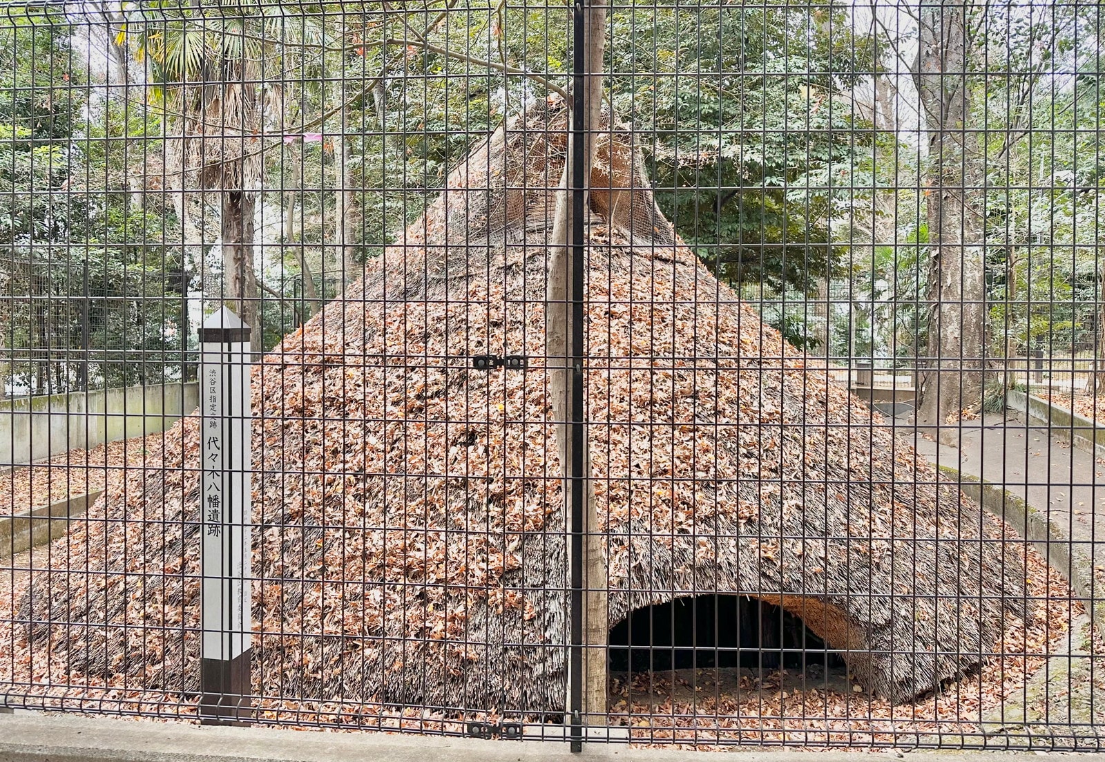 代々木八幡の写真