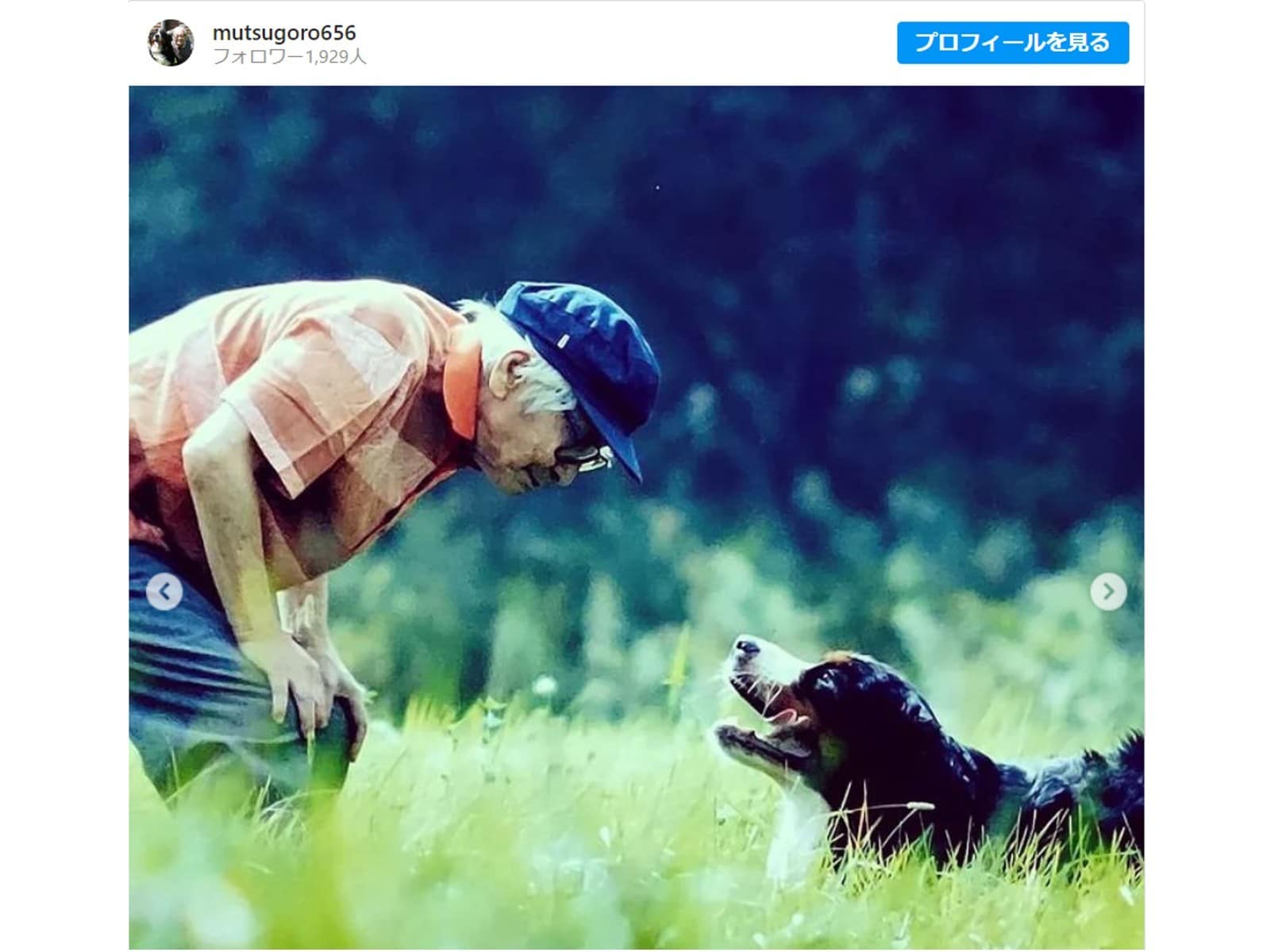 ムツゴロウさん 約12年寄り添った愛犬との別れを告白 いつでもかわいかったルナ ありがとう 忘れません All About News