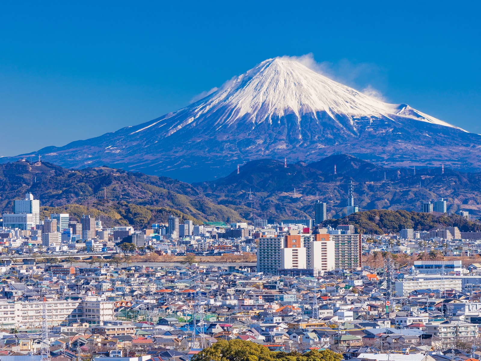 「将来も現在住んでいる都道府県に住みたい」人が多い都道府県ランキング