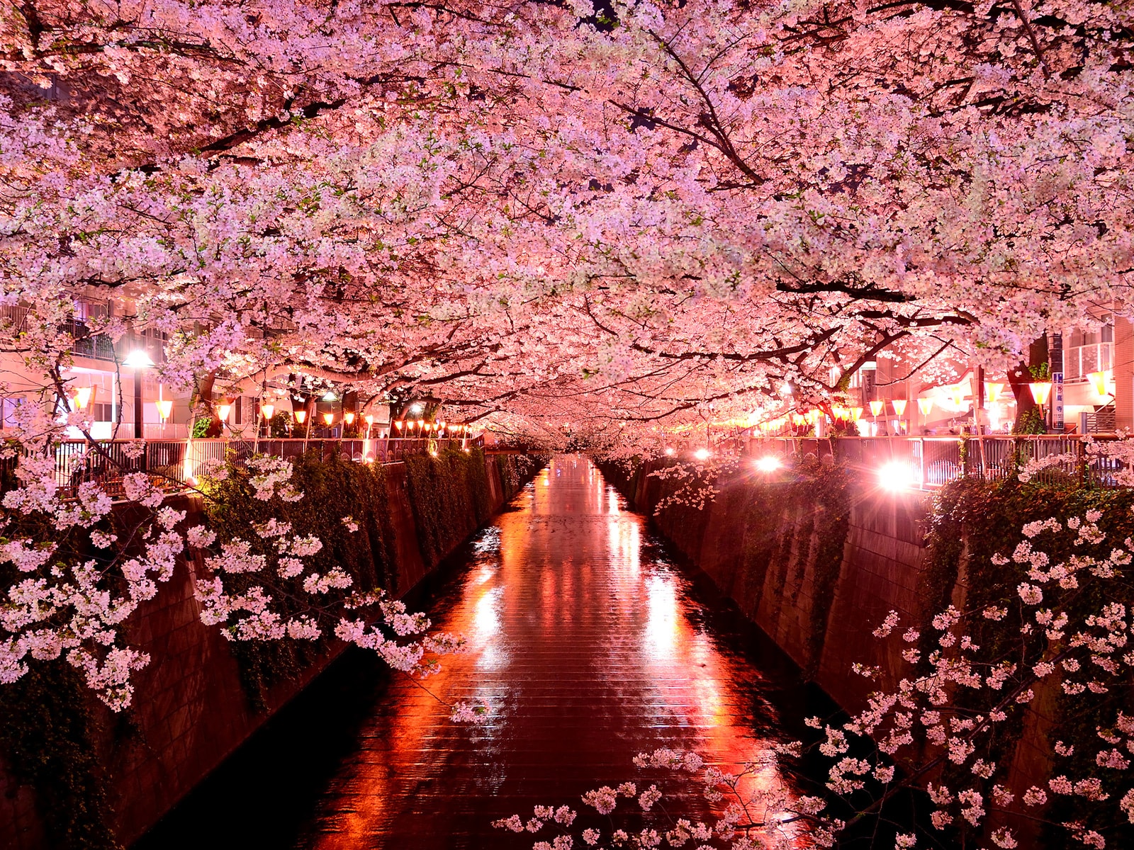 「夜桜がきれい」だと思う都道府県ランキング