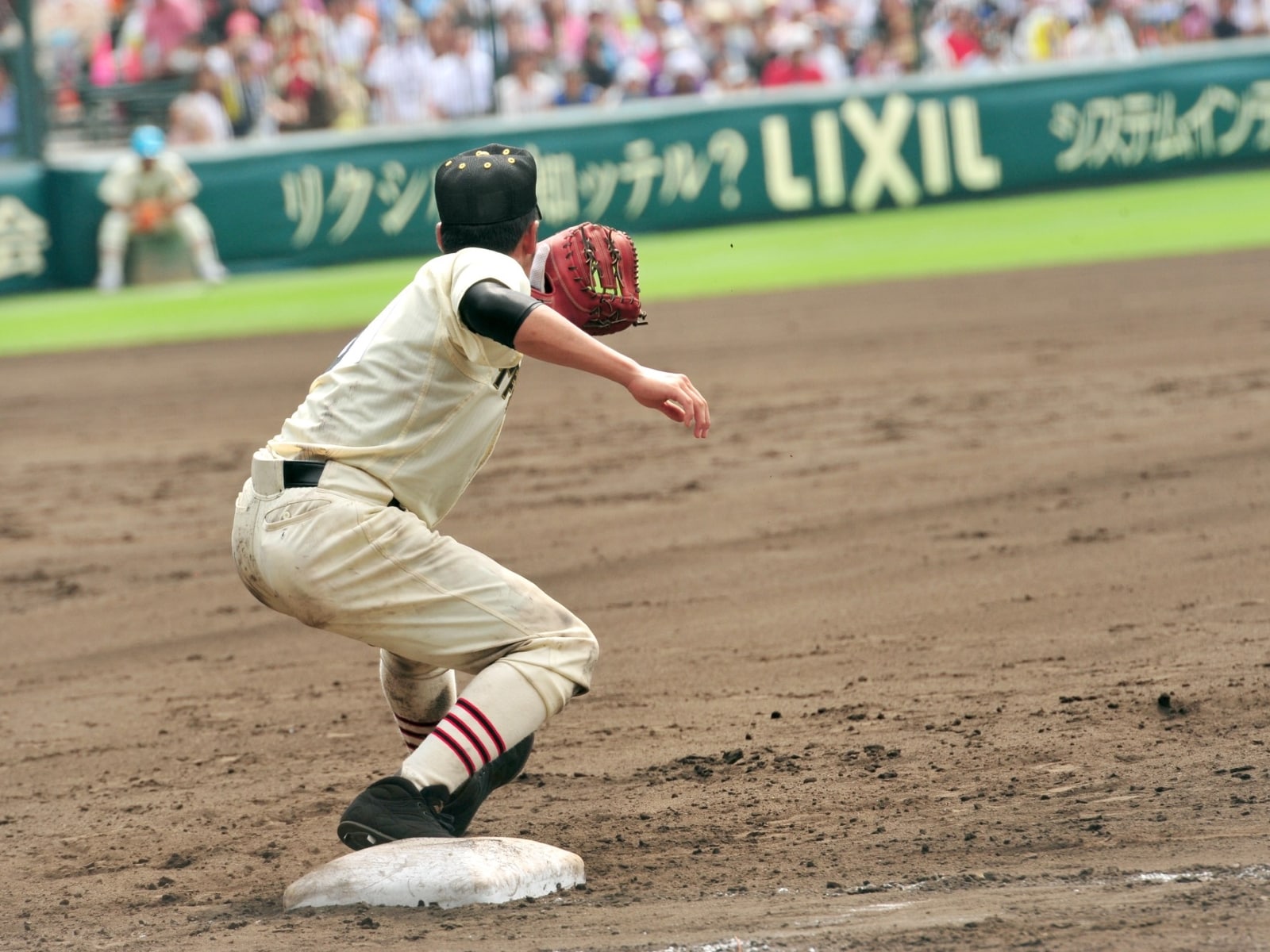 「北海道・東北地方の好きな野球強豪校」ランキング