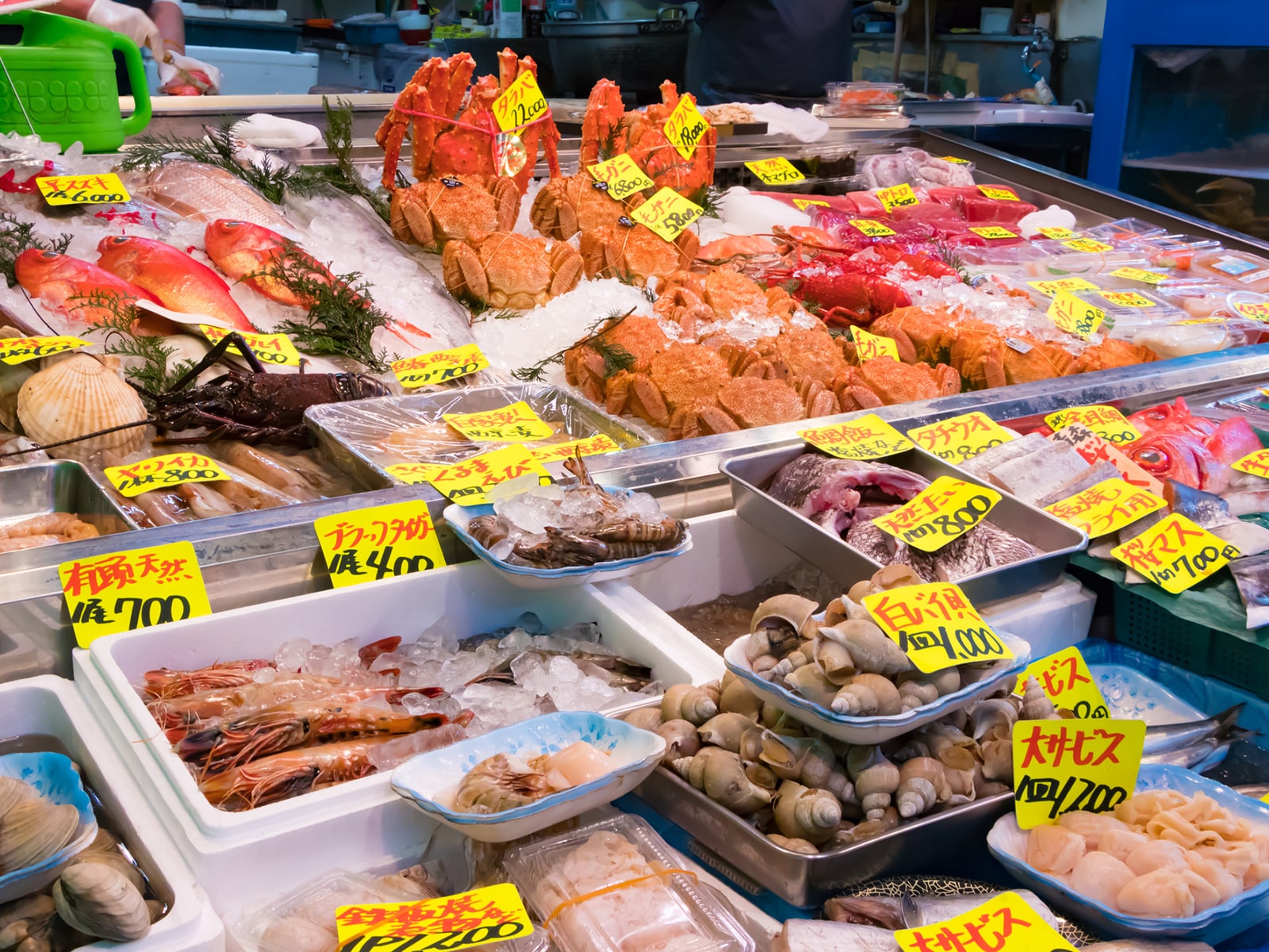 関東で行きたい「魚市場」ランキング