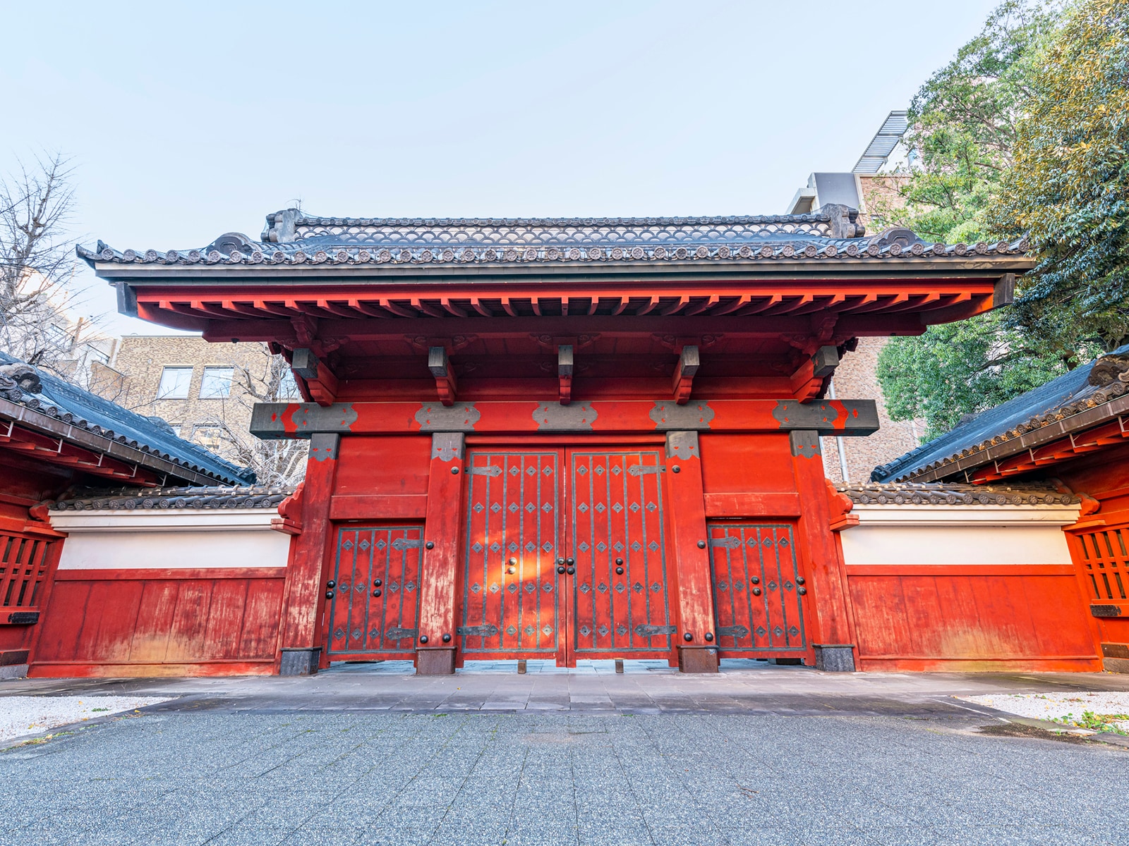 東京大学