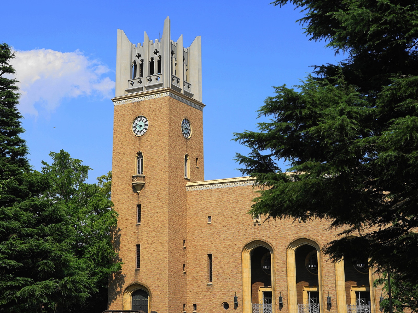 早稲田大学