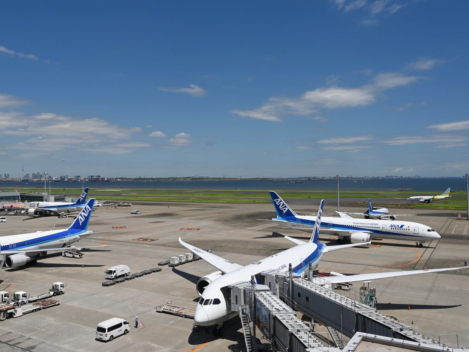 羽田空港は混雑空港。発着が止まるとその影響は大きい