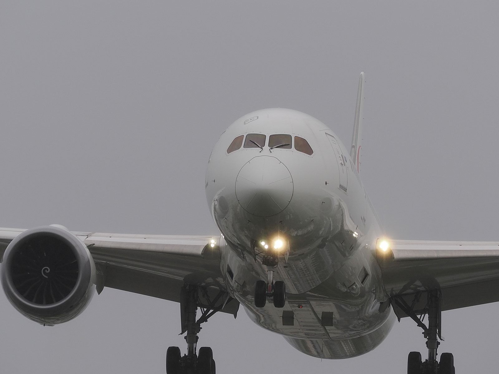 飛行機が欠航したら、どう動くべきか？（画像はイメージ）