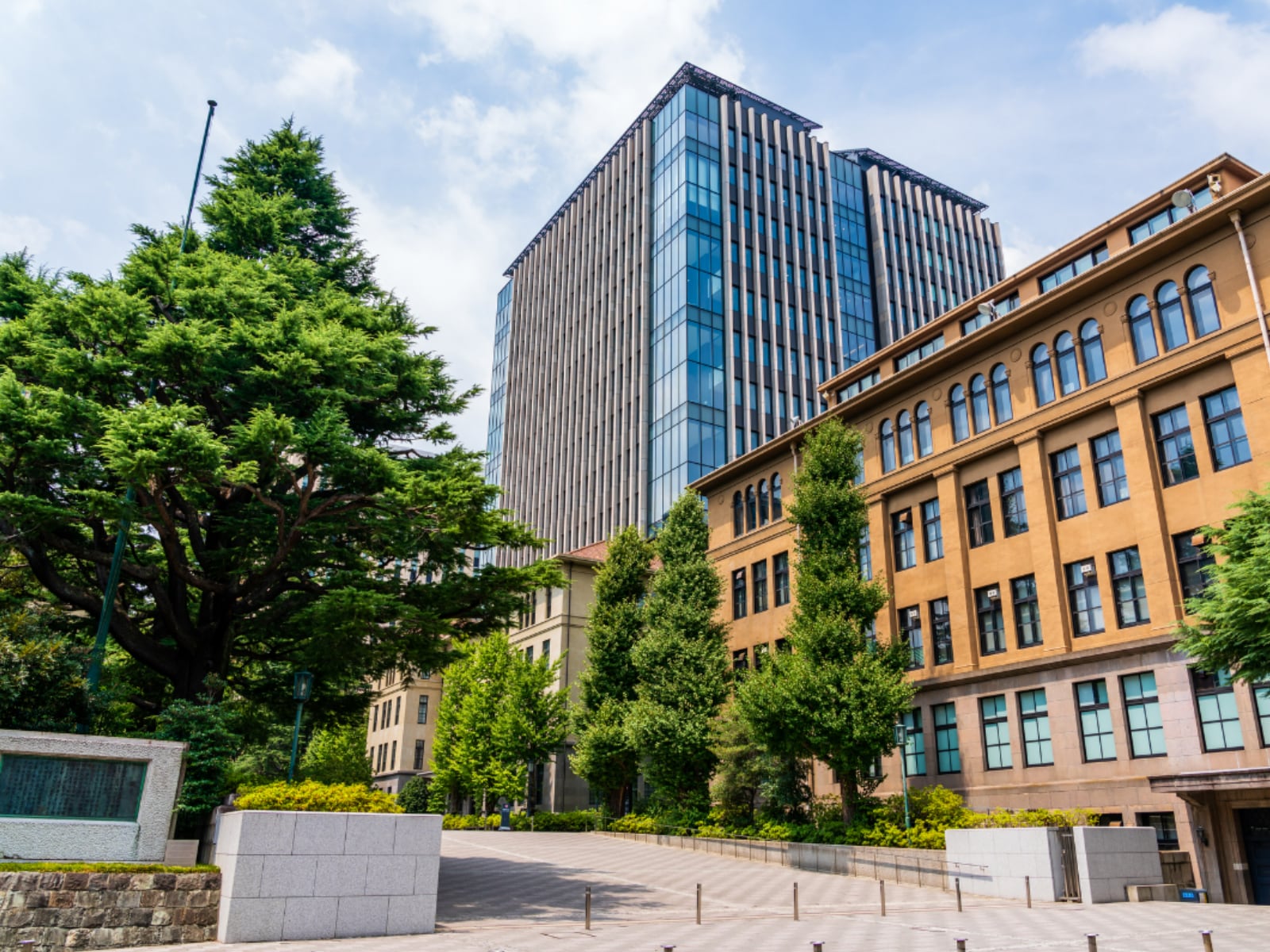 早稲田大学