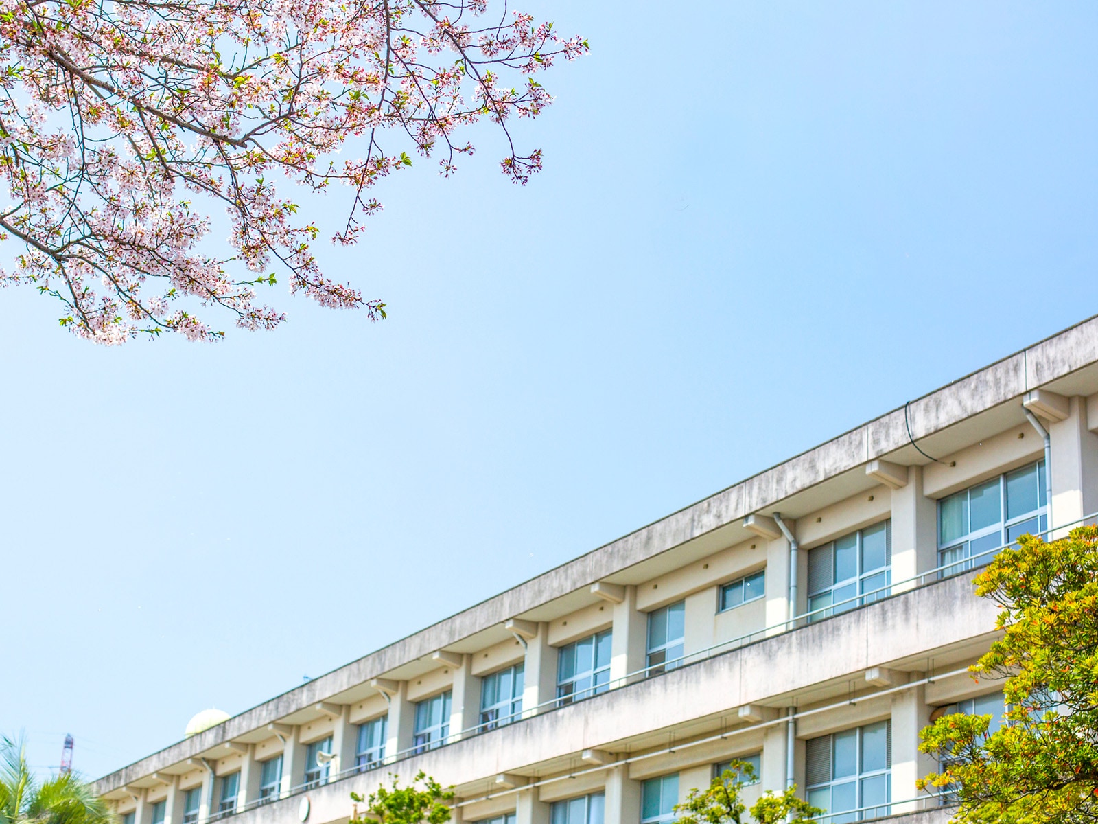 出身と聞いてすごいと思う「香川の公立進学校」ランキング