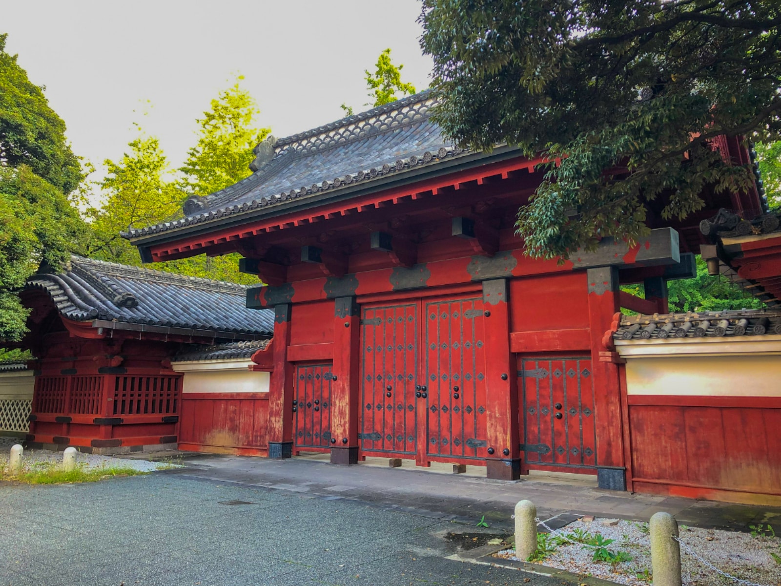 東京大学