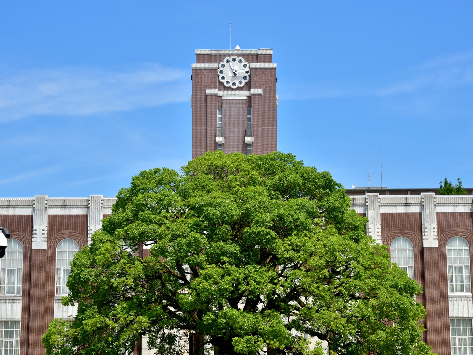 京都大学