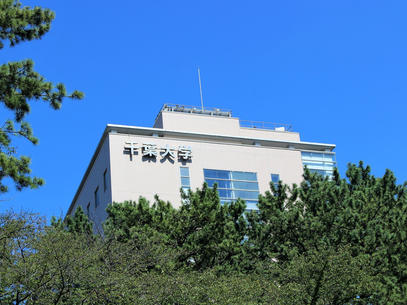 千葉大学