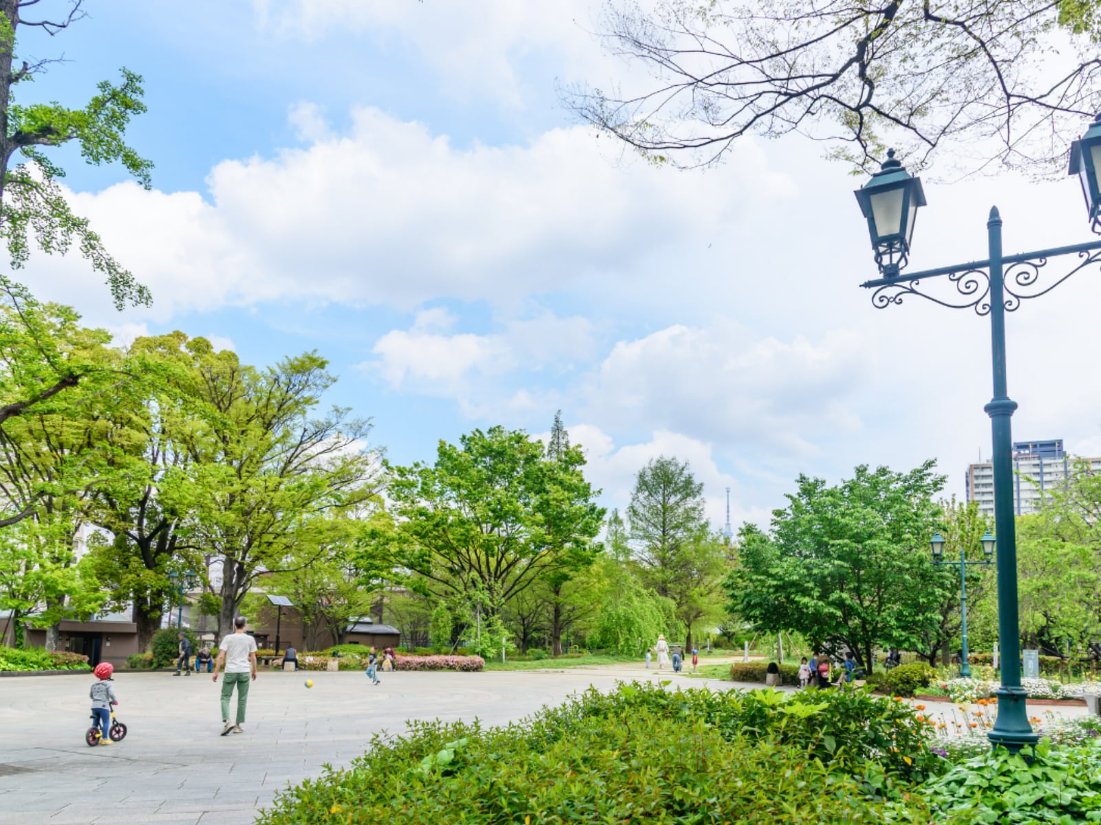 浜町公園