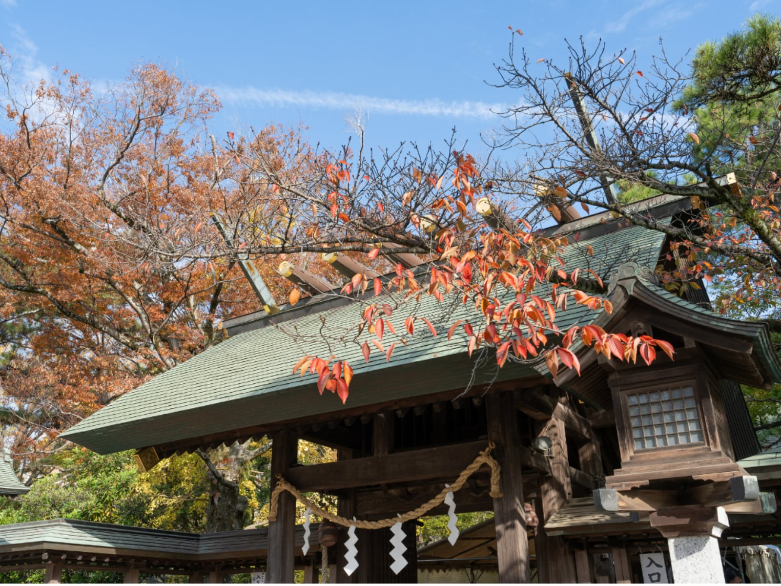 船橋大神宮