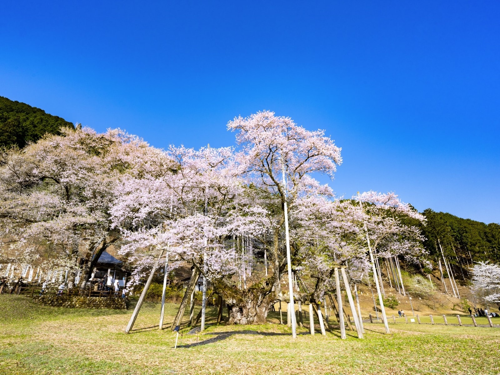 幸福度が高い「岐阜県の街（自治体）」ランキング