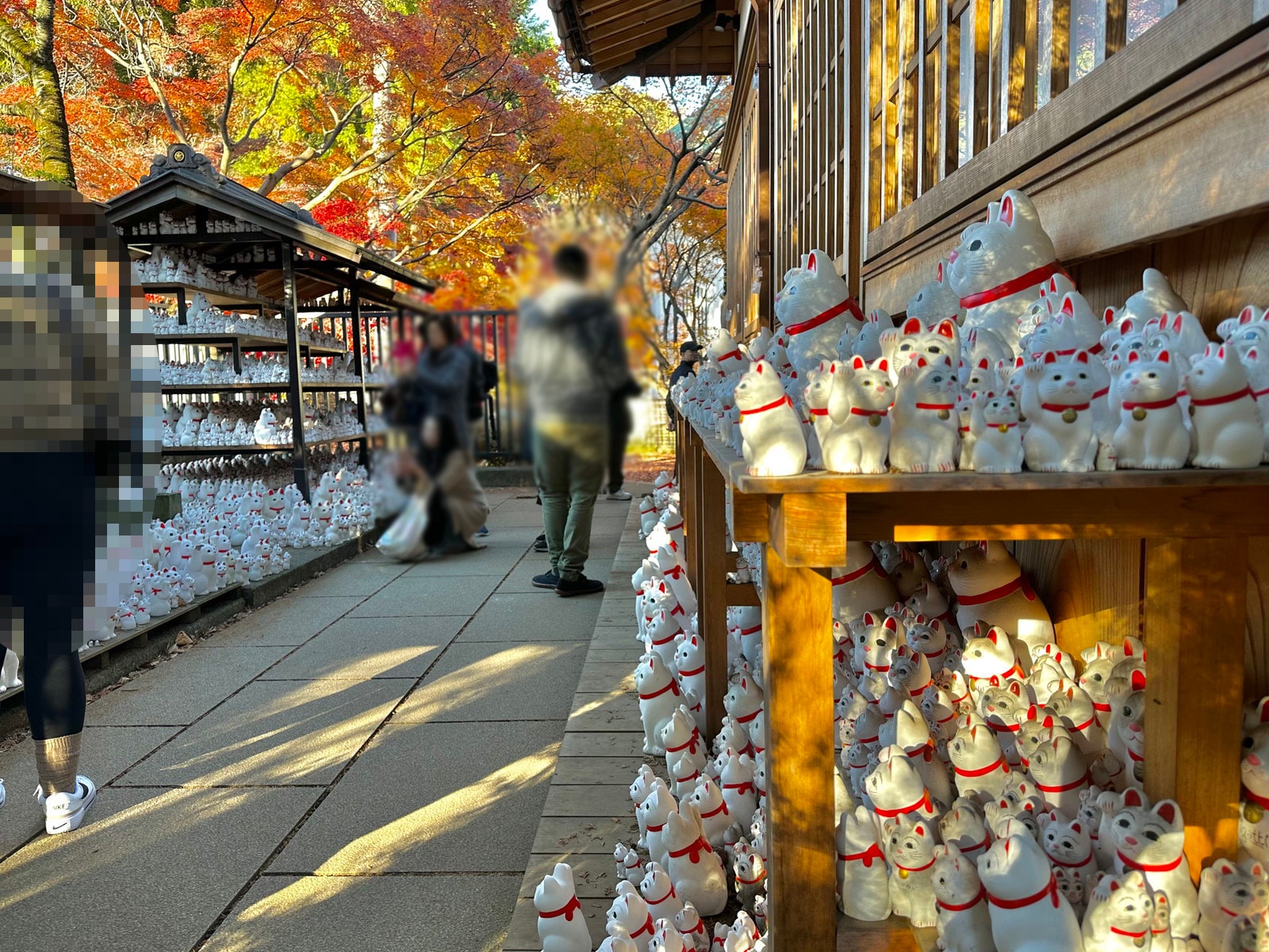 豪徳寺の写真