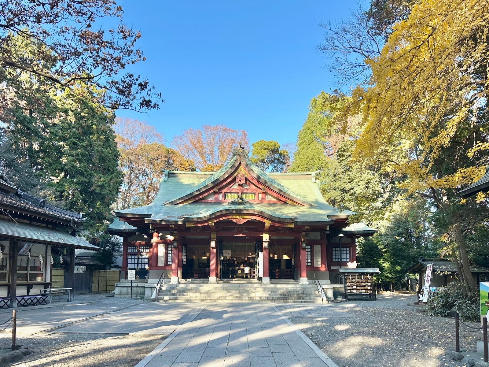 豪徳寺の写真