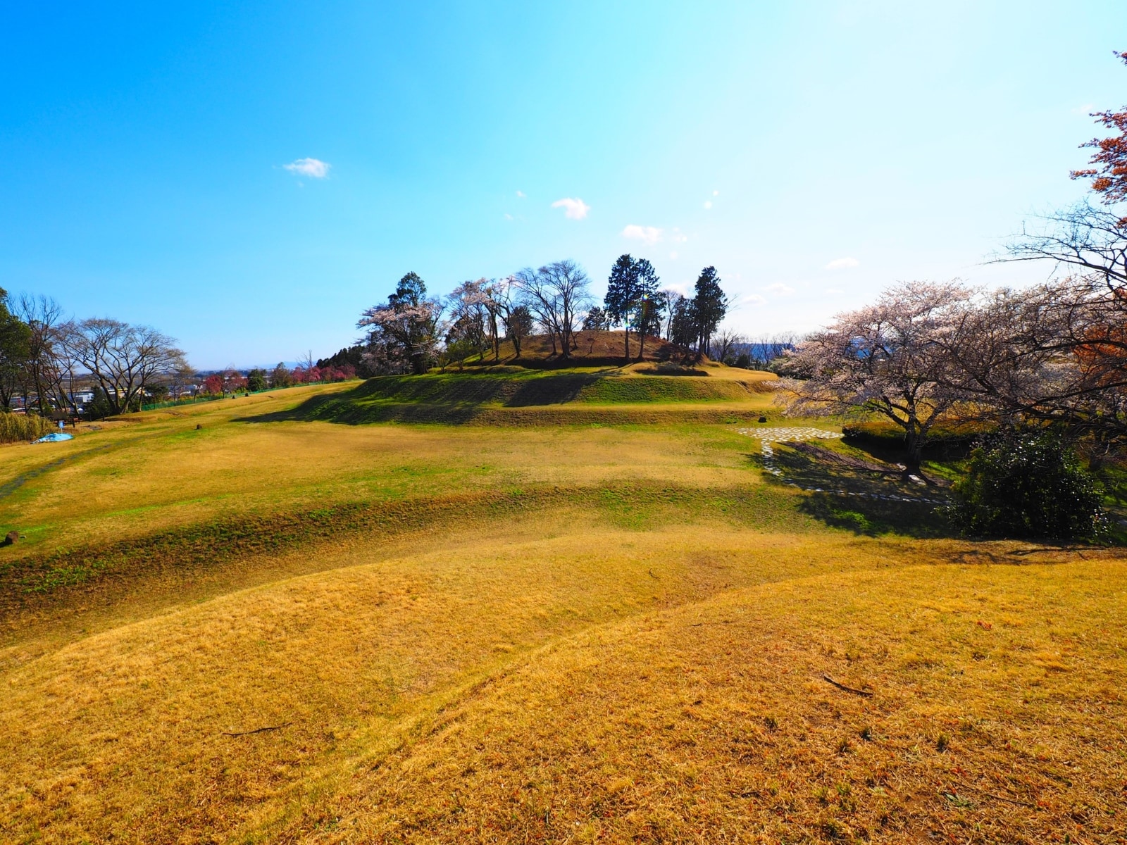 幸福度が高い「宮城県の街（自治体）」ランキング