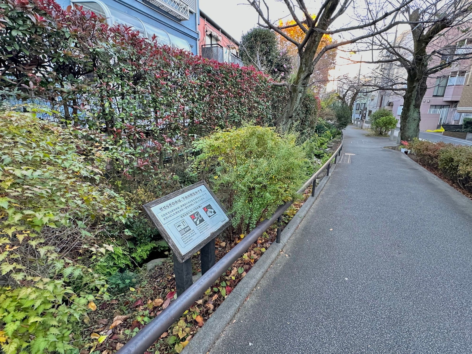 世田谷代田の写真