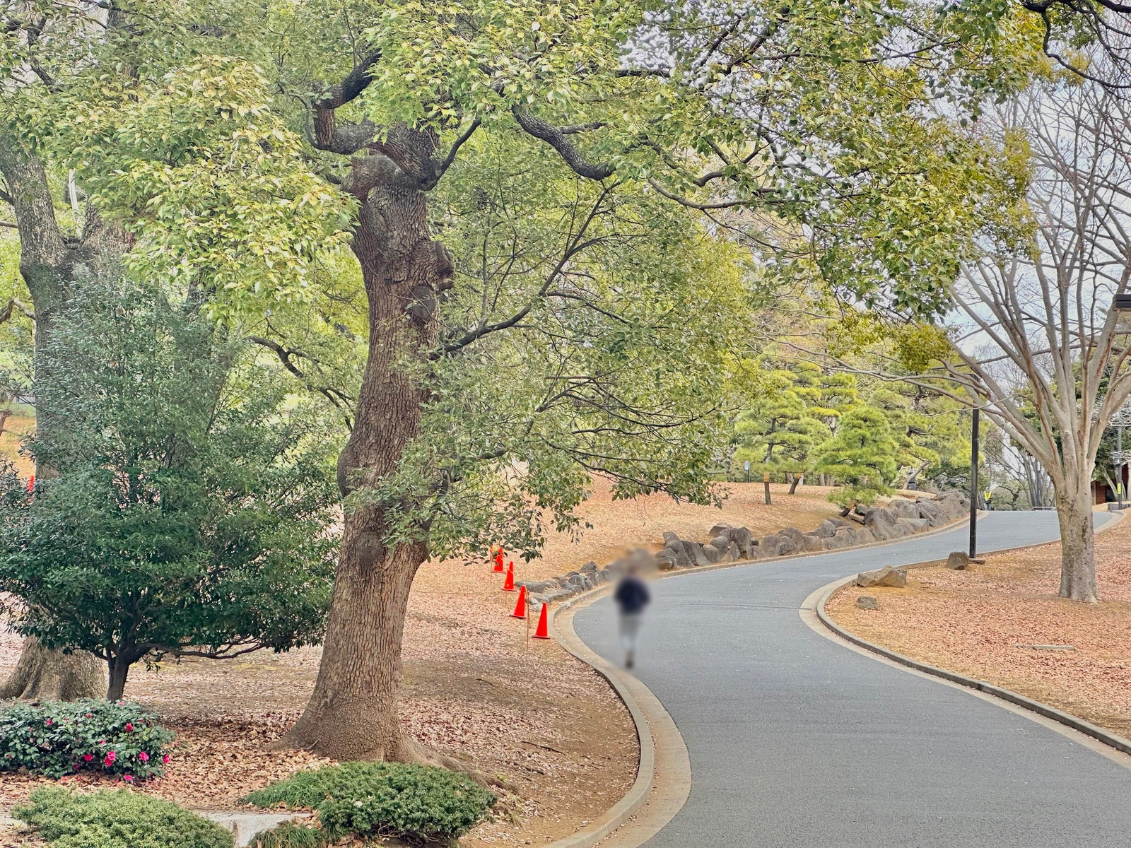 代々木八幡の写真