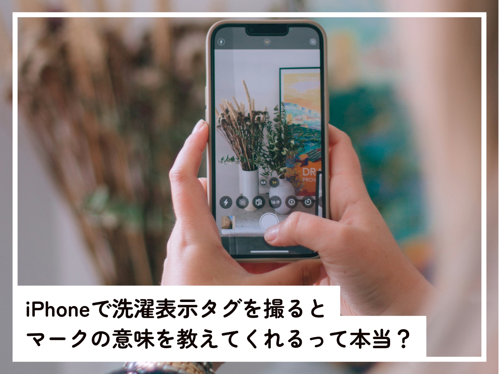 iPhoneの「画像を調べる」の使い方