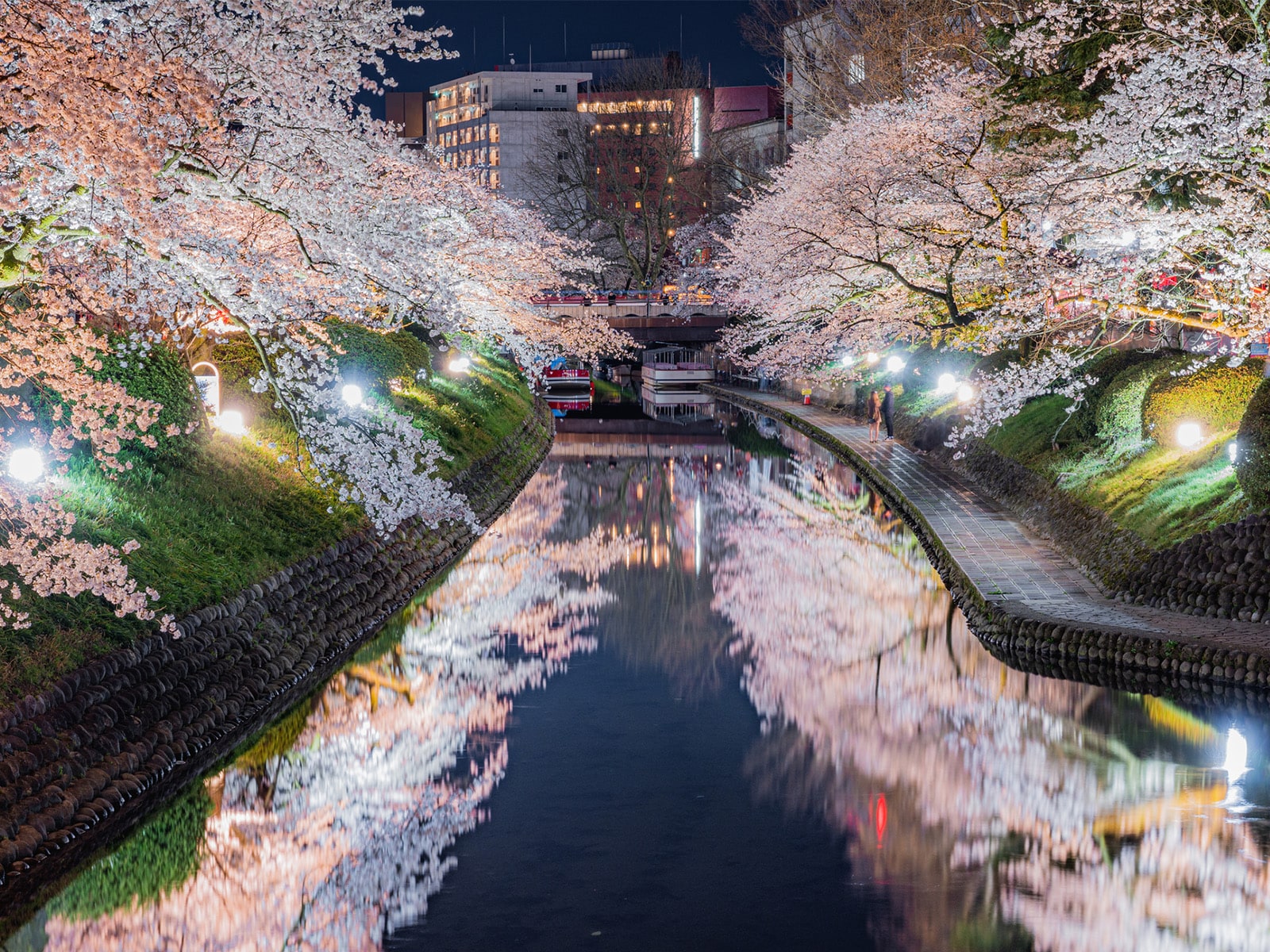 富山で人気の「桜の名所」ランキング
